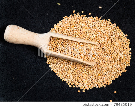 view of wood scoop on yellow proso millet on black 79485019