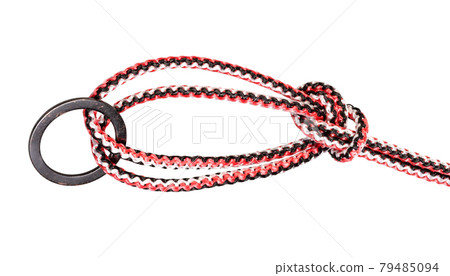 another side of Bowline on a bight knot on rope 79485094