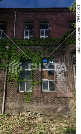 Scary brick building and ivy Scary brick building and ivy 79485101