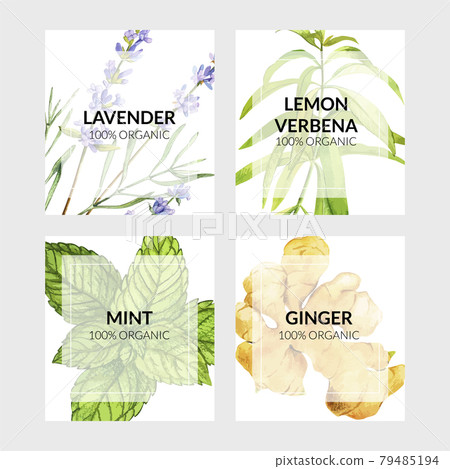Set of four cards with cooking herbs 79485194
