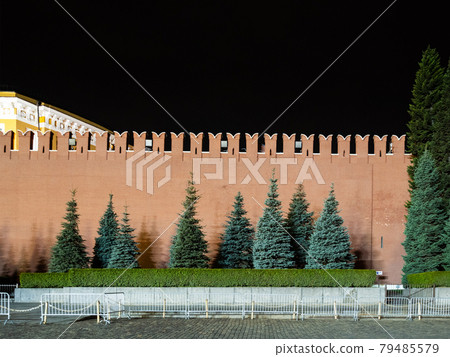 blue spruces near red wall of Kremin in Moscow 79485579