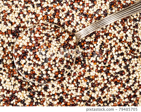 tablespoon in mix of quinoa seeds closeup 79485705