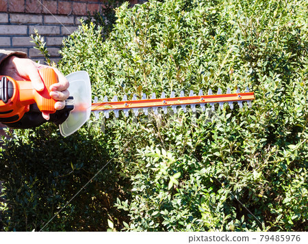trimming green bushes by electric hedge trimmer trimming green bushes by electric hedge trimmer 79485976