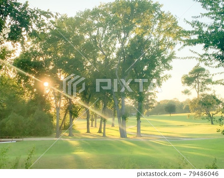 Twilight lawn Twilight lawn 79486046