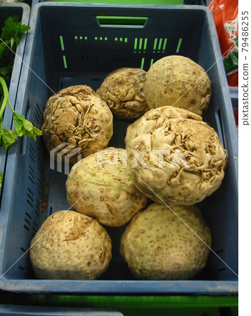 西菜根芹菜(芹菜卡布拉蜂蜜) 西菜根芹菜(芹菜卡布拉蜂蜜) 79486255