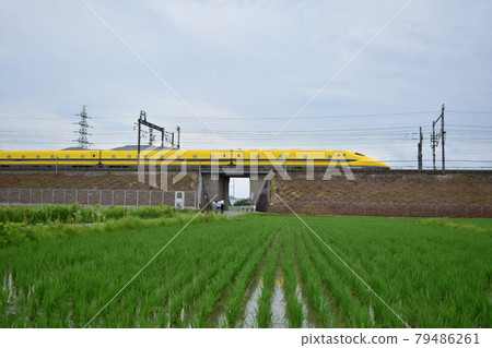 [Shiga] Doctor Yellow and rice fields 79486261
