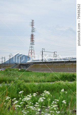 [滋賀]新幹線和近江富士 79486262