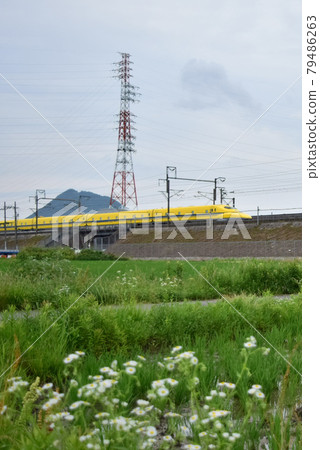 [Shiga] Doctor Yellow and Omi Fuji 79486263