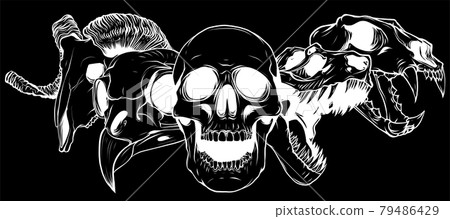 vector illustratio of animal skull art design 79486429