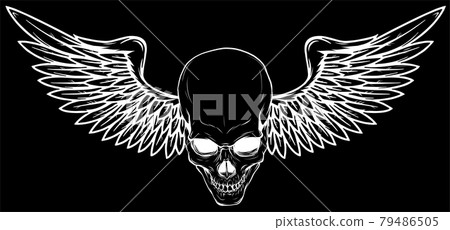 vector illustration of Skull with bird wings 79486505
