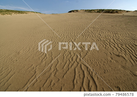 Tottori four seasons walk summer Tottori sand dunes 79486578