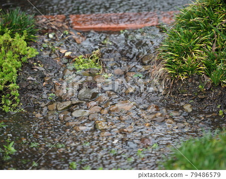 Rainwater flowing in the garden Rainwater flowing in the garden 79486579