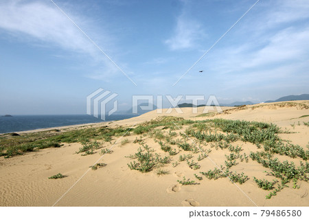 Tottori four seasons walk summer Tottori sand dunes 79486580
