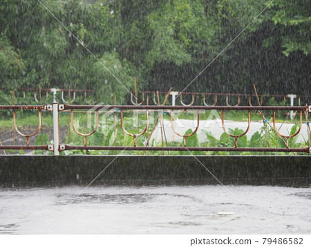 Pouring rain 79486582