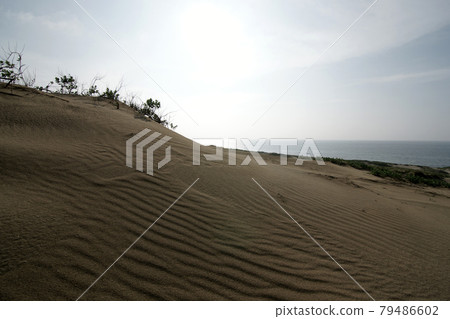 Tottori four seasons walk summer Tottori sand dunes Tottori four seasons walk summer Tottori sand dunes 79486602
