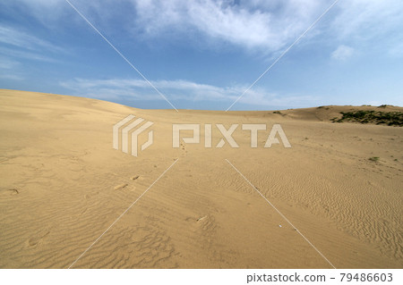 Tottori four seasons walk summer Tottori sand dunes Tottori four seasons walk summer Tottori sand dunes 79486603