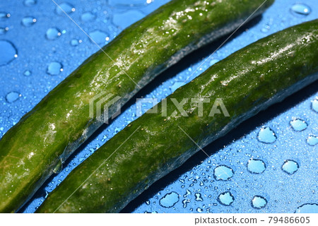 Cucumber Cucumber 79486605