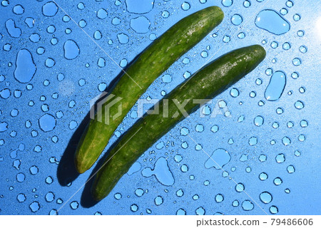 Cucumber Cucumber 79486606