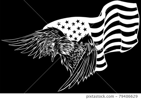 vector illustation American eagle against USA flag vector illustation American eagle against USA flag 79486629