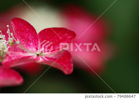 下雨時它會變濕 下雨時它會變濕 79486647