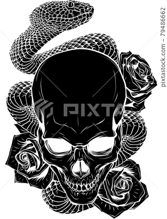 vector illustration of skull, roses and snake vector illustration of skull, roses and snake 79486662