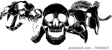 vector illustratio of animal skull art design 79486815