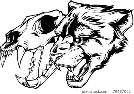 Cougar Panther Head with skull Vector illustration Cougar Panther Head with skull Vector illustration 79487002