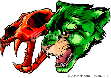 Cougar Panther Head with skull Vector illustration 79487007