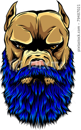 vector illustration of head pitbull with beard 79487021
