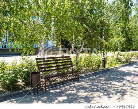 empty bench in the shade of birch foliage empty bench in the shade of birch foliage 79487438