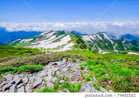 殘雪的月山和雲海 79488582