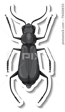 A sticker template with top view of a grasshopper isolated A sticker template with top view of a grasshopper isolated 79488650