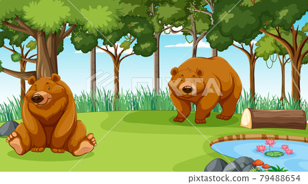 Grizzly bear or brown bear in forest or rainforest scene with many trees Grizzly bear or brown bear in forest or rainforest scene with many trees 79488654