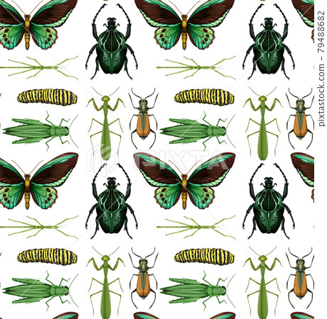 Seamless pattern with many insects on white background Seamless pattern with many insects on white background 79488682