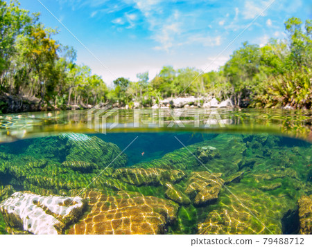 Semi-water surface photo of the fountain (Cenote) (Playa del Carmen, Mexico) Semi-water surface photo of the fountain (Cenote) (Playa del Carmen, Mexico) 79488712