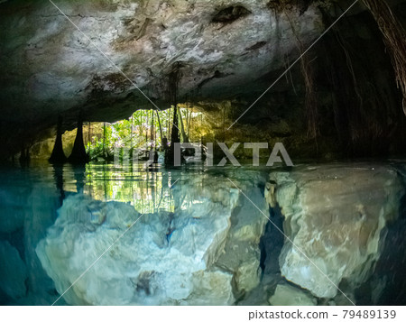 Doorway to the Underwater Cave (Cenote) (Playa del Carmen, Mexico) Doorway to the Underwater Cave (Cenote) (Playa del Carmen, Mexico) 79489139