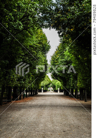 Tree-lined avenue at Schönbrunn Palace in Vienna (Austria) Tree-lined avenue at Schönbrunn Palace in Vienna (Austria) 79489828