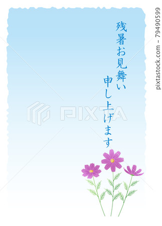 Postcard for the lingering summer heat Cosmos Postcard for the lingering summer heat Cosmos 79490599