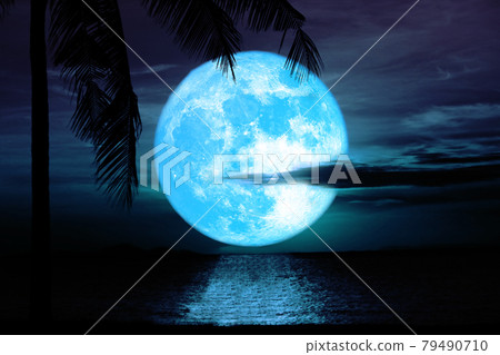 reflection flower blue moon rise back silhouette coconut tree and cloud over sea on the night sky reflection flower blue moon rise back silhouette coconut tree and cloud over sea on the night sky 79490710