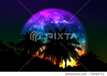 super flower colorful moon back silhouette palm tree on the night sky super flower colorful moon back silhouette palm tree on the night sky 79490712