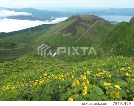 秋田駒岳的美山大觀莊 79491499