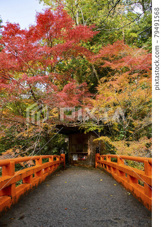 手指月亮橋 手指月亮橋 79491568