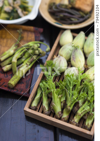 春季野菜和時令菜餚 79492104