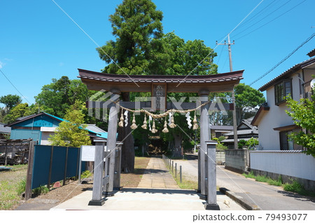 Scenery of Oyumino 79493077