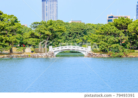 Ohori Park in early summer, Chamurabashi, Fukuoka City, Fukuoka Prefecture Ohori Park in early summer, Chamurabashi, Fukuoka City, Fukuoka Prefecture 79493391