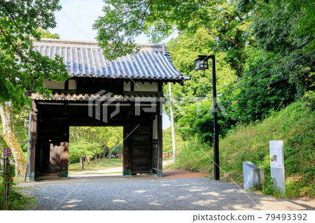 Maizuru Park (Fukuoka Castle Ruins) in early summer Najimamon, Fukuoka City, Fukuoka Prefecture Maizuru Park (Fukuoka Castle Ruins) in early summer Najimamon, Fukuoka City, Fukuoka Prefecture 79493392