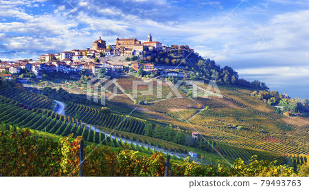 Vineyards of Piedmont and scenic villages, northern Italy Vineyards of Piedmont and scenic villages, northern Italy 79493763
