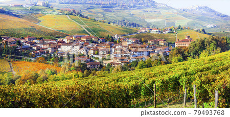 Autumn scenery with vast fields of vineyards. Piedmont, Barolo village and castle. Wine tour in Italy 79493768