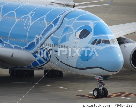 A380 Flying Honu 79494188