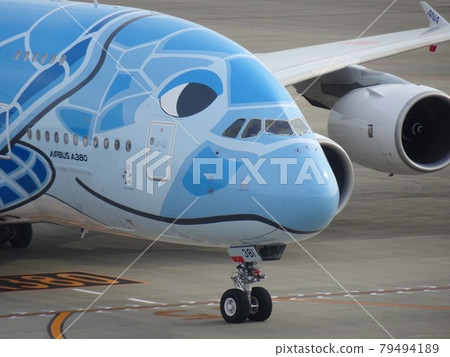 A380 Flying Honu A380 Flying Honu 79494189